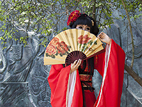 Звезда косплея, китайская 