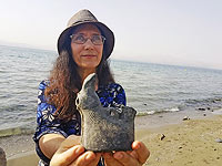 Находка на пляже Кинерета: 1500-летняя глиняная птица, свидетель кораблекрушения 