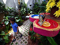 Город будущего обойдется Саудовской Аравии в 500 млрд. долларов 