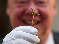 Золото и серебро викингов: уникальная коллекция в Шотландии. Фоторепортаж