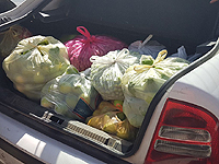 Арабские рабочие украли сотни килограммов  овощей, чтобы продать их под Хевроном