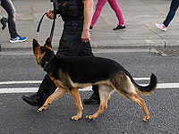 В Канаде полицейская собака выстрелила из пистолета, преследуя преступников