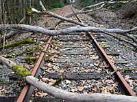 На Центральную и Западную Европу обрушился ураган