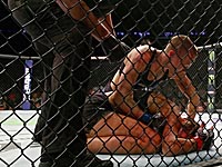 UFC 217: 
