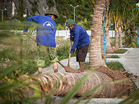 Жертвами тайфуна во Вьетнаме стали около 50 человек