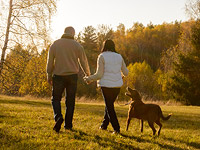 Шведские ученые: владельцы собак живут дольше