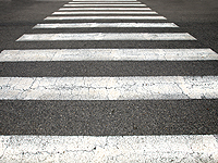 В Ленинградской области водитель, насмерть сбив пешехода, попытался сжечь тело