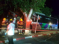 В Тверии автобус врезался в дерево: пострадали четыре человека
