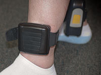 Обвиняемая в нападениях модель Элия Кадош помещена под домашний арест