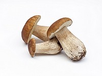 Американские ученые назвали продукт, помогающий замедлить старение