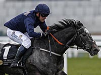 Легендарный Майкл Оуэн дебютировал в качестве жокея и финишировал вторым