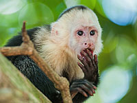 Сотрудники 