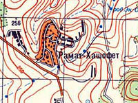 В кибуце Рамат а-Шофет обнаружена собака, больная бешенством