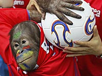 Матч чемпионата Японии помогла начать обезьяна