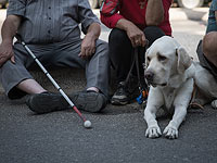ЦБС: более половины людей с ограниченными возможностями не работают