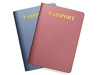 МВД Израиля: гражданство, ПМЖ и легализация статуса