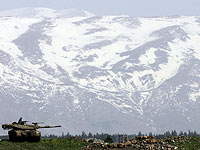 Начался снегопад на вершине Хермона и в Мадждаль-Шамсе