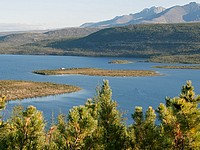 Правительство РФ хочет раздавать 