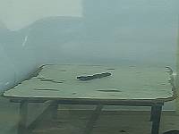 У здания военного суда в Самарии задержан араб с двумя взрывными устройствами