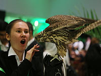 Шахматистки и королевский сокол на чемпионате мира в Эр-Рияде. Фоторепортаж
