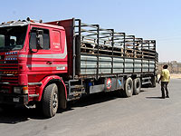 С марта 2018 года грузовики должны будут проходить техосмотр дважды в год