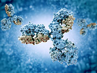 Южная Корея: у перебежчика из Северной Кореи обнаружены антитела к сибирской язве