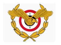 SANA: террористы сбили сирийский военный самолет