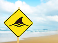 Граждан просят не нырять у побережья Хадеры из-за акул