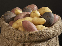 В один из ресторанов Киева продали картофель, собранный детьми 