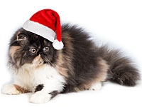 Новогодняя выставка