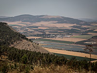 Глава регионального совета Гильбоа просит Нетаниягу помочь в борьбе со вспышкой бешенства