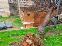 Из-за бури два человека травмированы в Иерусалиме и Тель-Авиве