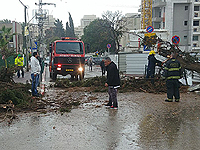 Последствия первого зимнего шторма 2018 года. Фоторепортаж