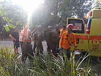 Возле ручья Ог группа туристов оказалась в 