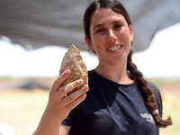 Полмиллиона лет истории: в округе а-Шарон найдена стоянка предков человека