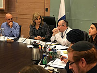 Работницы секс-индустрии выступили на межминистерской комиссии Кнессета