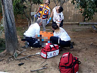 В Ганей-Тикве мужчина упал с дерева и получил тяжелую травму