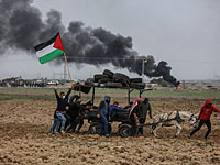 Массовые беспорядки, убиты двое палестинских арабов