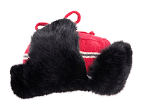 В Воронежской области школьнику сломали пять позвонков в драке из-за шапки