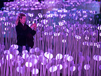 Lumiere 2018: фестиваль света на улицах Лондона. Фоторепортаж 
