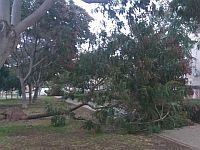 Второй зимний шторм 2018 года: сводка ночных происшествий