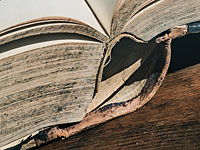 Университет Потсдама вернул  израильтянам еврейскую книгу XVI века