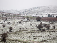 Третий зимний шторм 2018 года: заснежены Голаны, затоплены городские улицы