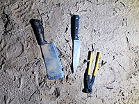 Предотвращено проникновение вооруженных арабов из сектора Газы