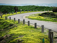 Полиция рекомендует отдать под суд бывшего гендиректора парка имени Ариэля Шарона