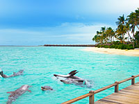 МИД Израиля рекомендовал воздержаться от посещения Мальдивских островов