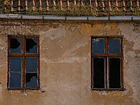 Супруги из Арканзаса попали под суд после того, как их новорожденную дочь искусали крысы