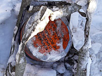 Обнаружены