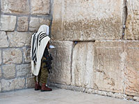 СМИ: началось строительство