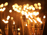 В столице Болгарии состоялось факельное шествие в честь нацистского генерала 